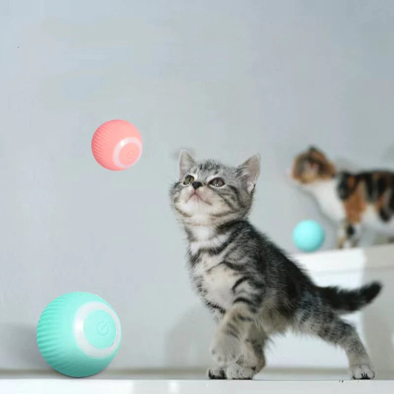 KittyRoll™ | Selbstbewegliches intelligentes Ballspielzeug für Katzen, wiederaufladbar und lustig (1+1 GRATIS)