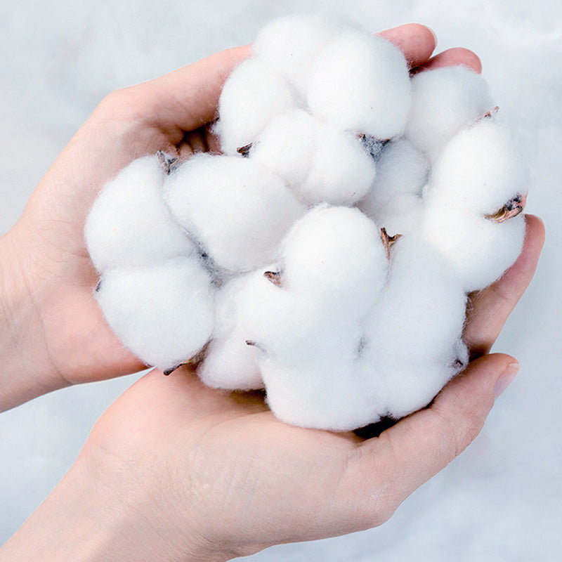 1 + 2 GRATIS HEUTE | CuddleCloud™