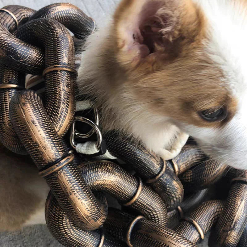 BeastChain - Humor und Stil für sichere Spaziergänge | 50% RABATT