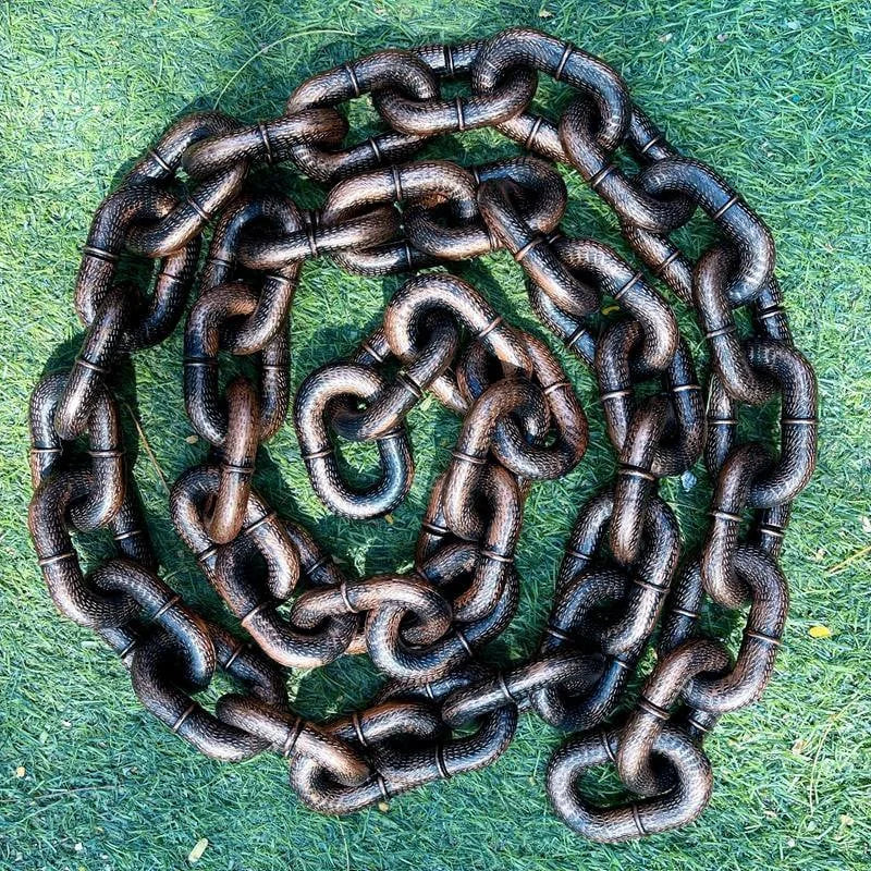 BeastChain - Humor und Stil für sichere Spaziergänge | 50% RABATT