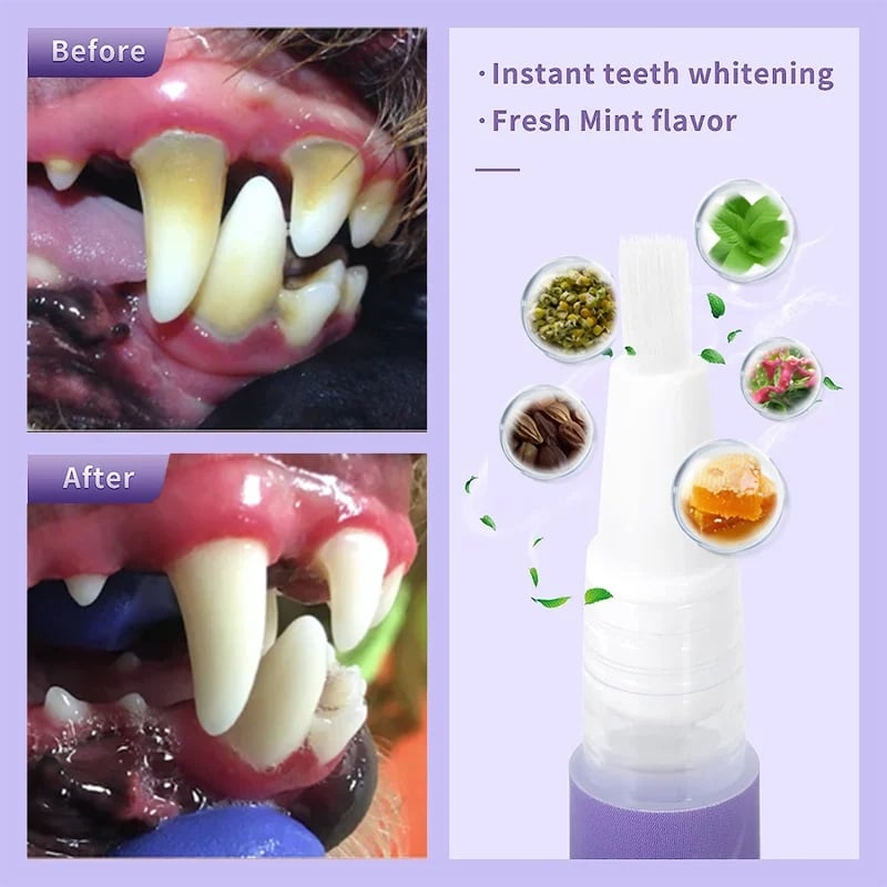 1+1 Gratis | VitaSmile™ Entfernen Sie hartnäckigen Zahnstein und Flecken mühelos – sorgen Sie für strahlende Zähne Ihres Haustiers