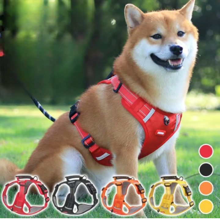 No-Pull Hundegeschirr mit Reflektierendem Nylon