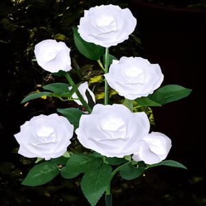 RoseGlow – Romantische Gartenbeleuchtung ganz ohne Strom