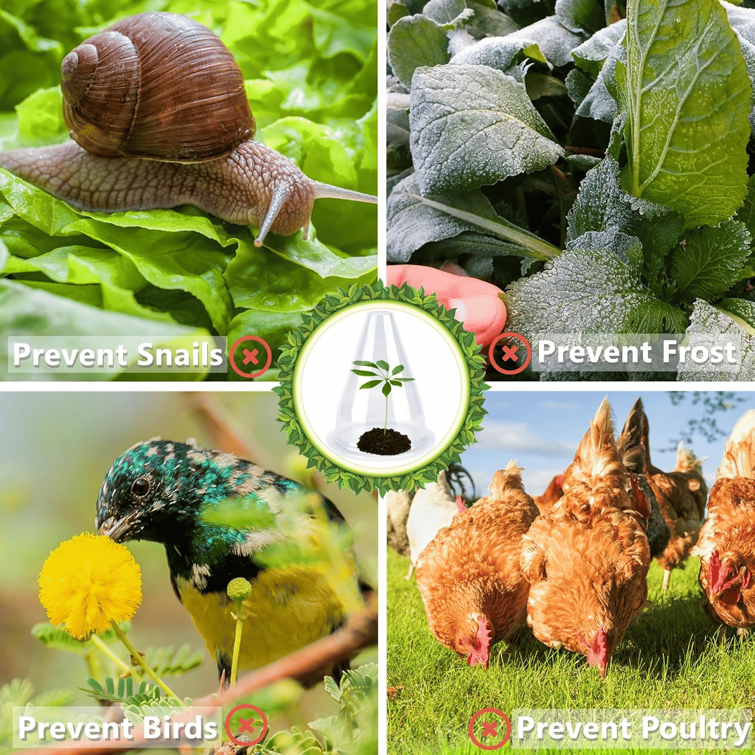 PlantShield™ - Garten-Gewächshaus-Pflanzenabdeckungen (10 Stück/Set)