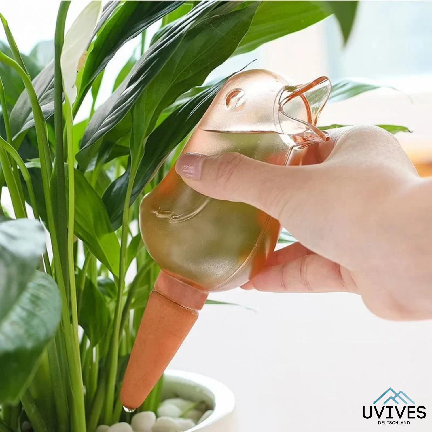 2+1 GRATIS | BloomFeeder™ - Automatischer Blumengießer