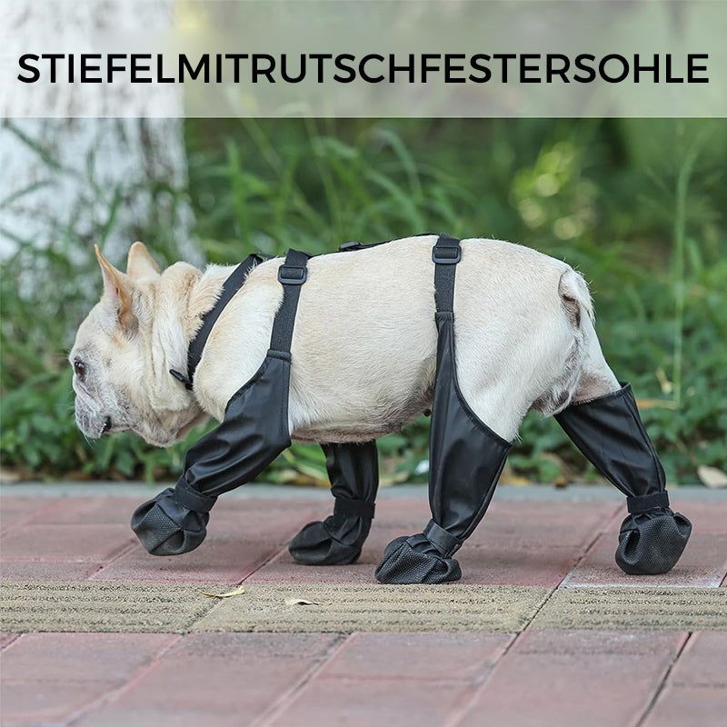 PawGuard Hundestiefel | Pfoten- & Beinschutz | Wasserdicht & Rutschfest | 1+1 Gratis