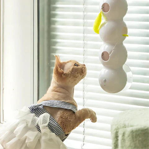 PurrWhirl – Interaktives Katzenspielzeug mit Wurmbewegung