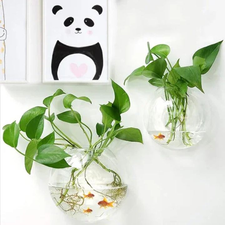1+1 Gratis | Elegante Glas-Wandvase – Minimalistischer Pflanzenhalter