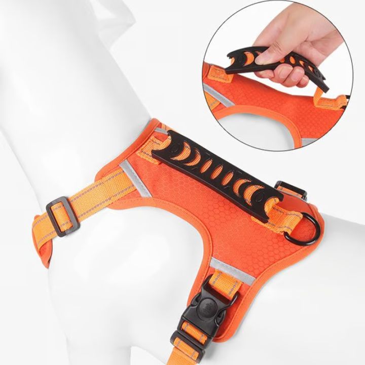 No-Pull Hundegeschirr mit Reflektierendem Nylon