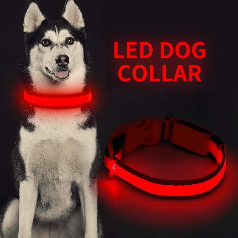 LED-Halsbänder fĂźr Hundeâ˘