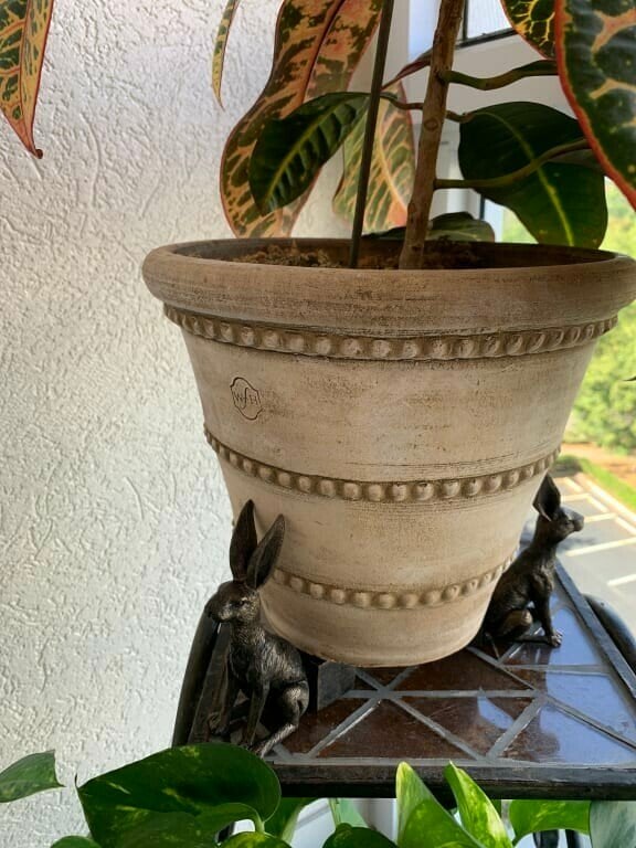 Niedliche tier topffüße set