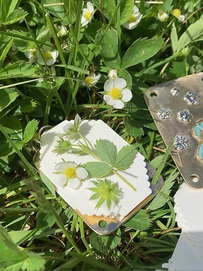 BloomCrest™ — Taschenformatige Magie zur Bewahrung der natürlichen Schönheit für immer