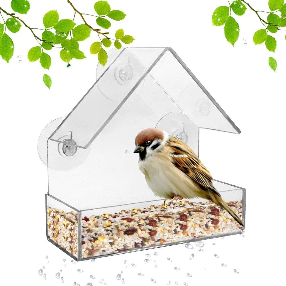 BirdFeeder™ | Fönster Fågelhus