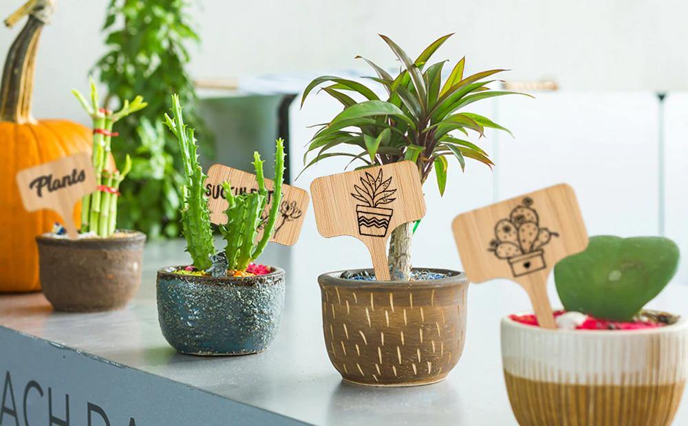 PlantSign – Pflanzenschilder aus Bambus für Garten & Deko