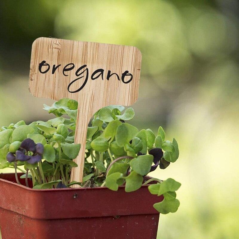 PlantSign – Pflanzenschilder aus Bambus für Garten & Deko