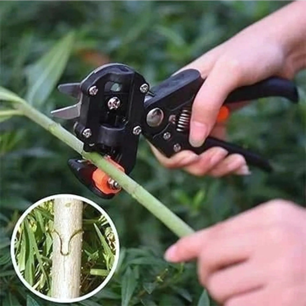 GrowMasters™ — Verwandeln Sie Ihren Obstgarten mit perfekten, kraftvollen Veredelungen bei jedem Mal