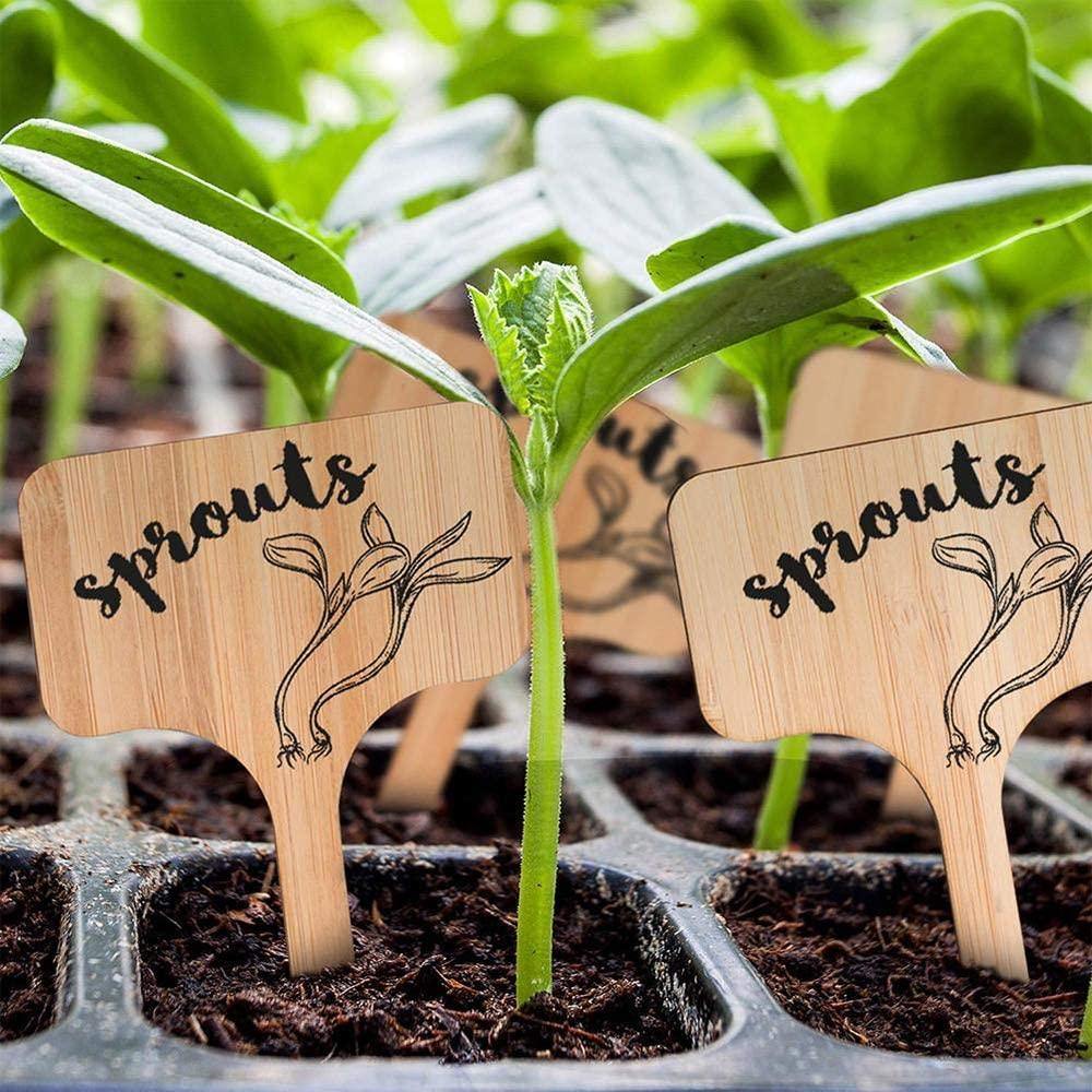 PlantSign – Pflanzenschilder aus Bambus für Garten & Deko