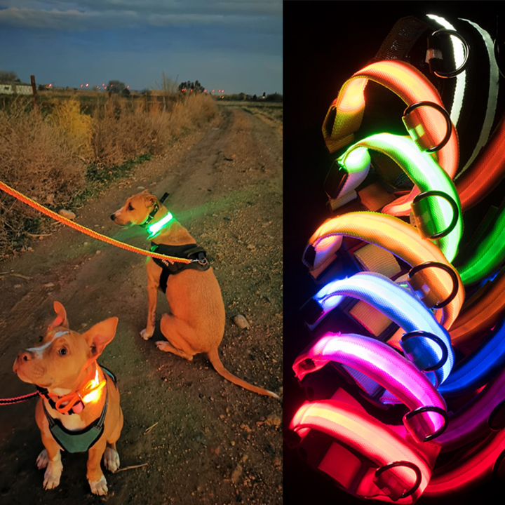 LED-Halsbänder fĂźr Hundeâ˘