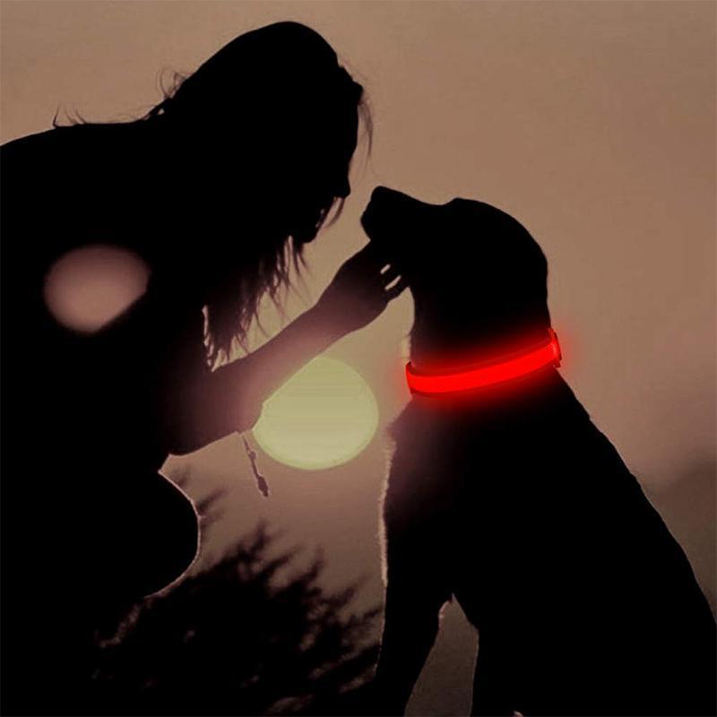 LED-Halsbänder fĂźr Hundeâ˘