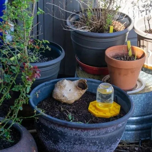 NectarNest™ — Schützt Bienen während der Wasseraufnahme durch ein einzigartiges Design, das Ertrinken verhindert