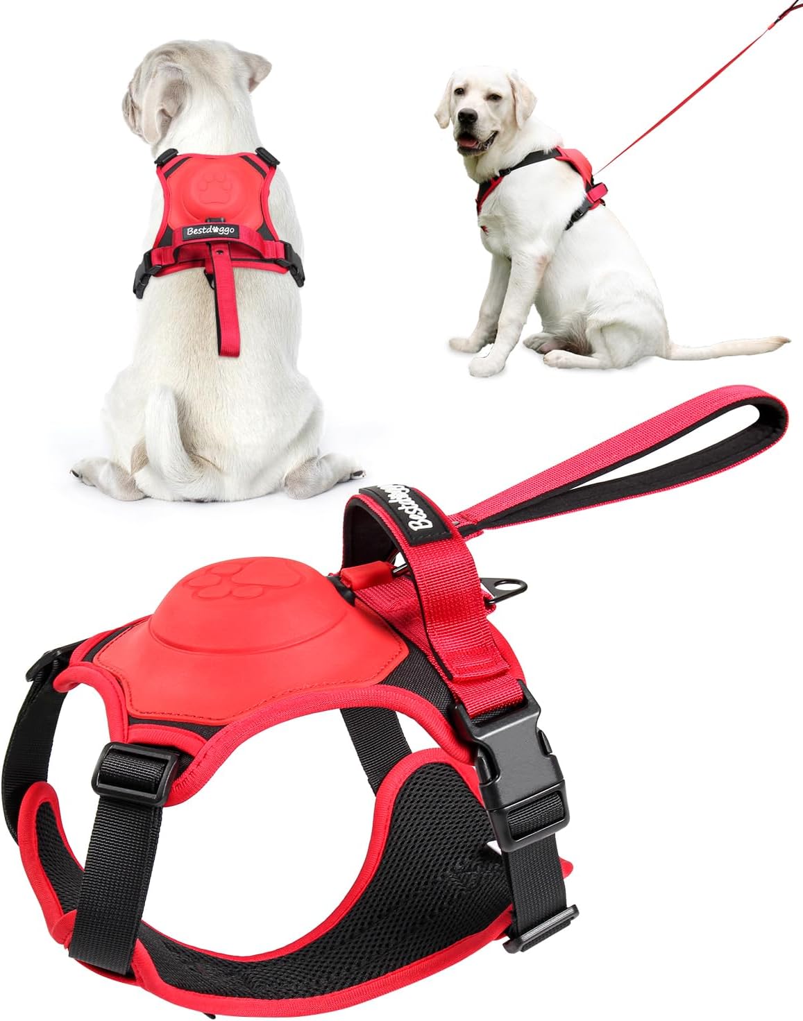Hundegeschirr Komplettset | Integrierte Ausziehleine | Ergonomisch & Reflektierend | 50% RABATT