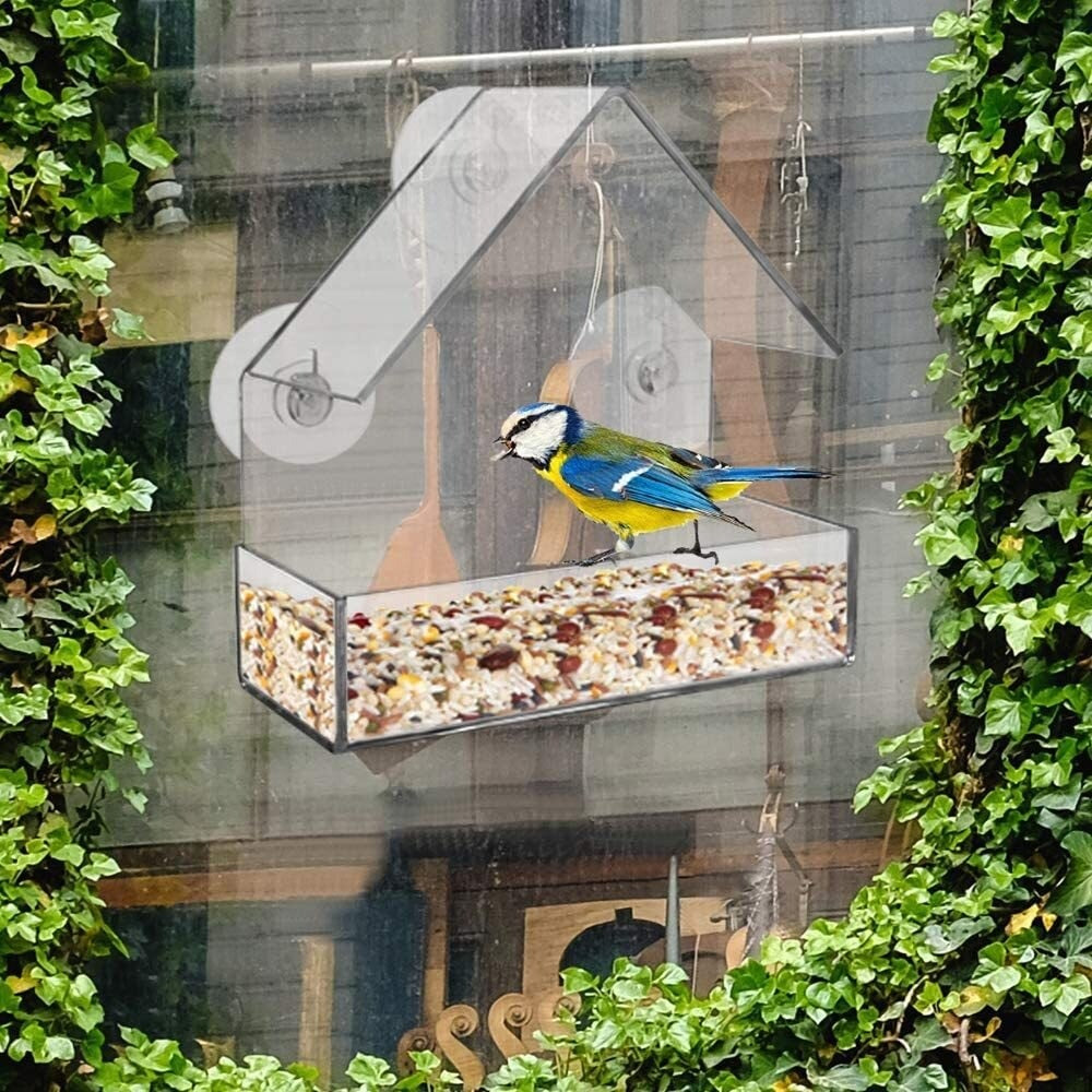 BirdFeeder™ | Fönster Fågelhus