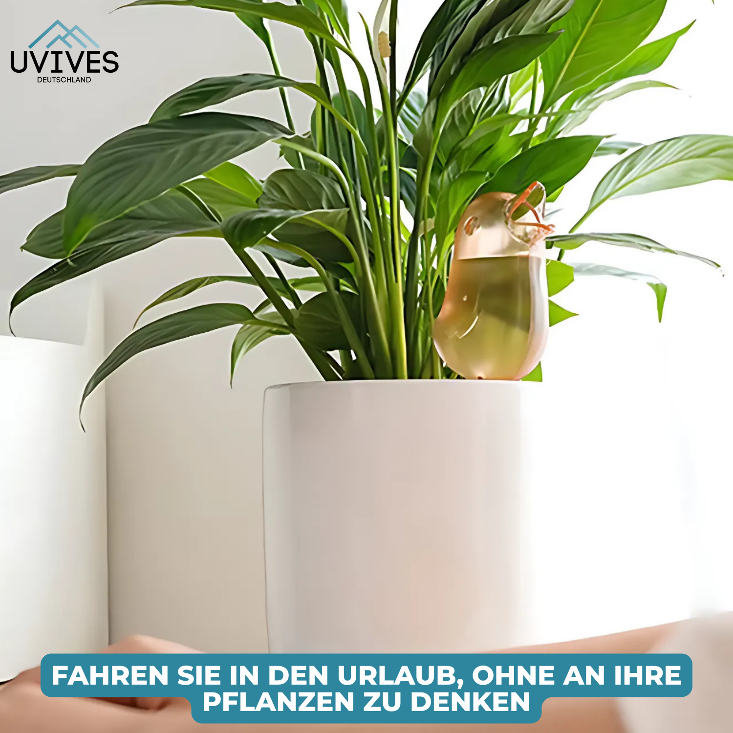 2+1 GRATIS | BloomFeeder™ - Automatischer Blumengießer