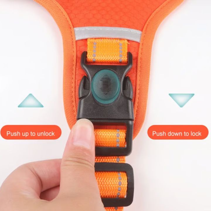 No-Pull Hundegeschirr mit Reflektierendem Nylon