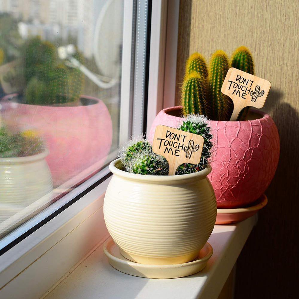 PlantSign – Pflanzenschilder aus Bambus für Garten & Deko