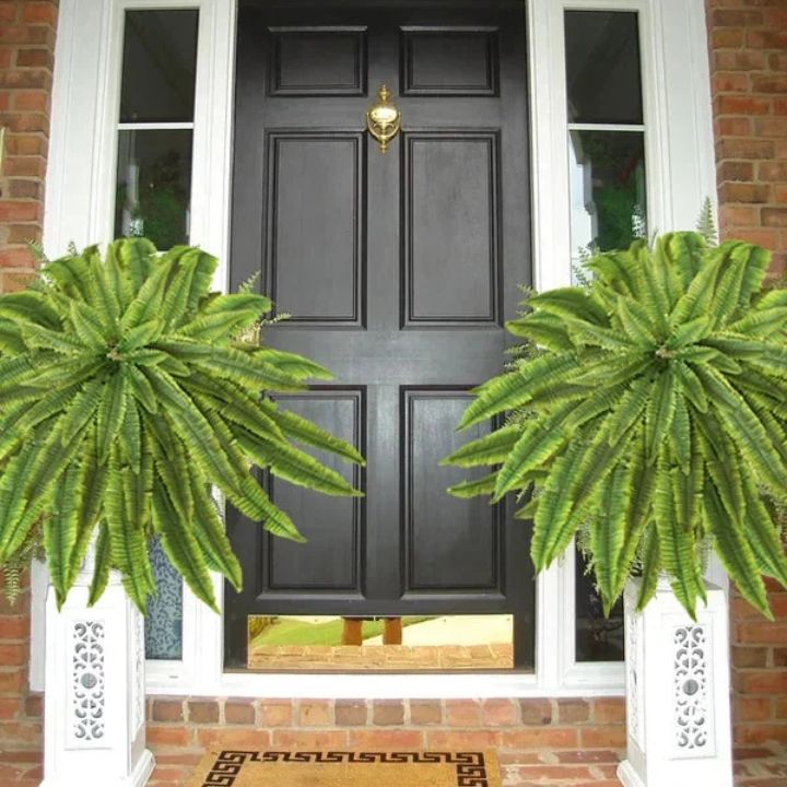 EverFoliage™ – Immergrüner Boston-Farn für ein natürliches Ambiente!