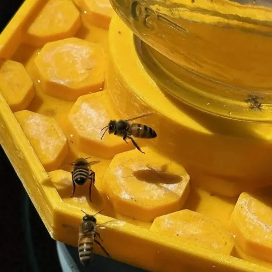 NectarNest™ — Schützt Bienen während der Wasseraufnahme durch ein einzigartiges Design, das Ertrinken verhindert