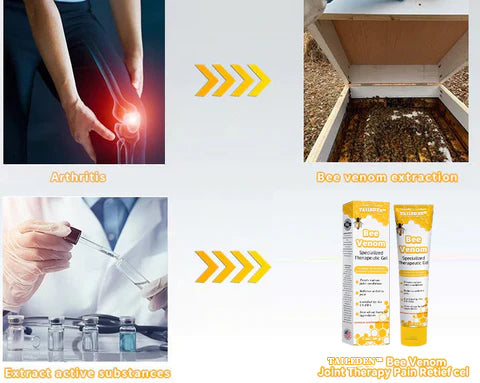 TAILEDEN™ Bienengift Gelenktherapie Schmerzgel | Natürliche Linderung bei Arthritis & Gelenkbeschwerden | 1+1 GRATIS