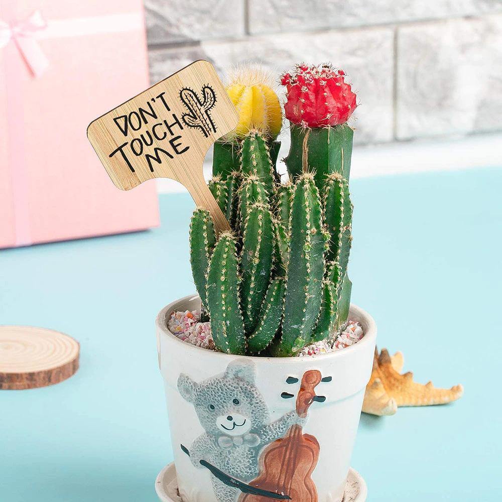 PlantSign – Pflanzenschilder aus Bambus für Garten & Deko