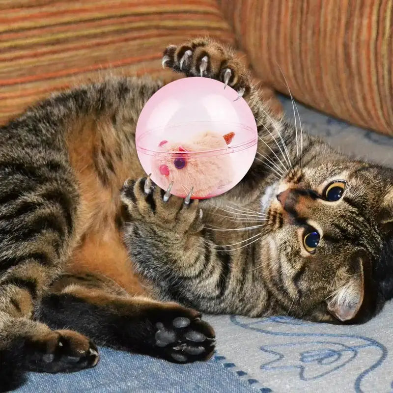 Schluss mit der Langeweile Ihrer Katze, her mit dem Spaß!