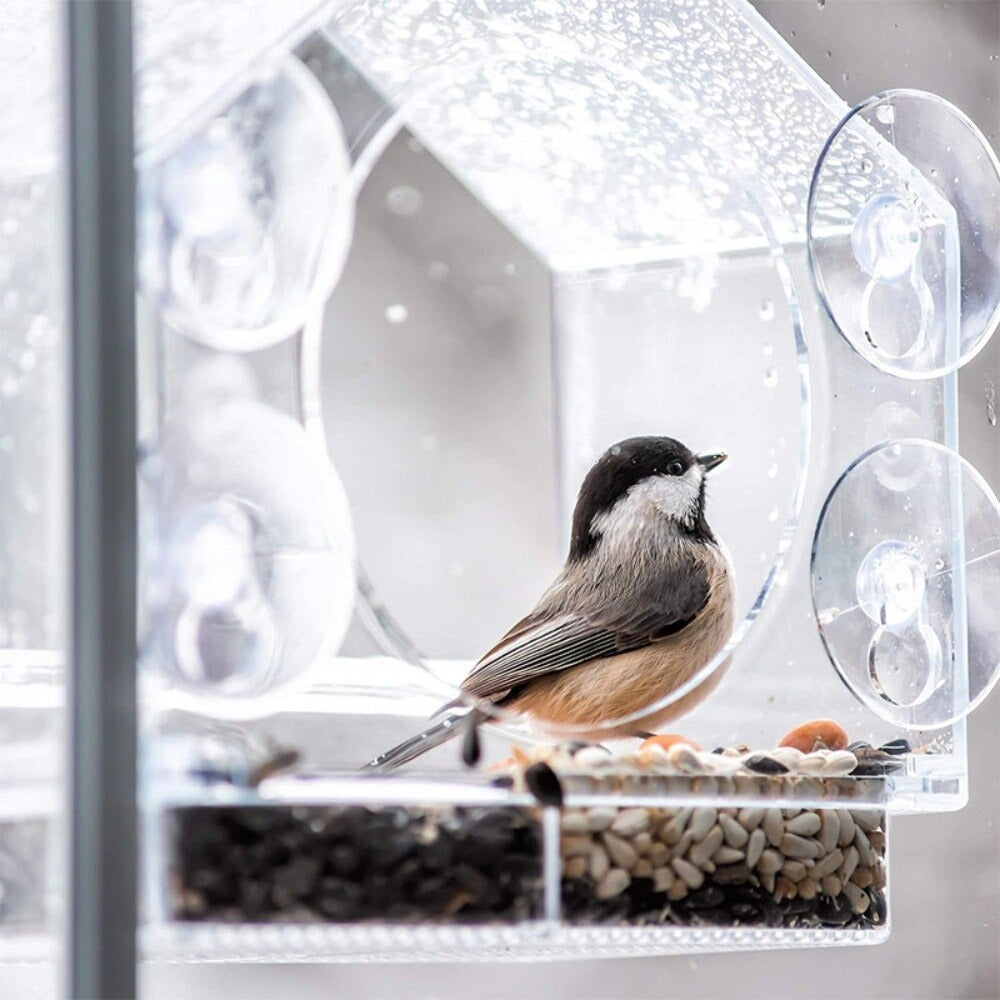 BirdFeeder™ | Fönster Fågelhus