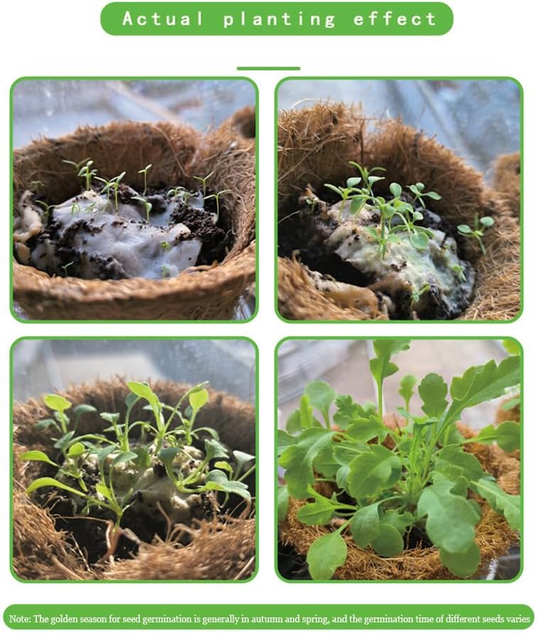 Umweltfreundlicher Pflanzbarer Saatkalender 2025 – Ganzjährig Wachsen