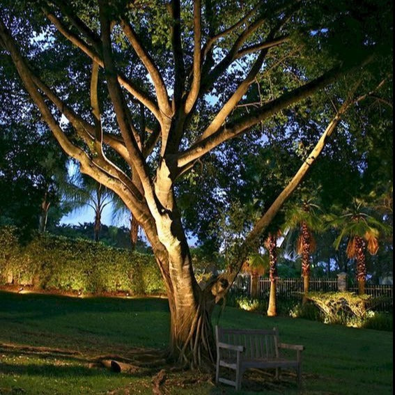 2+3 GRATIS | SolarFocus - Solarstrahler