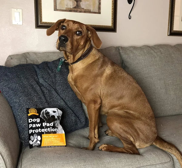 PawSafe - 4 Stück SAnti-Rutsch-Schutz-Aufkleber | 50% RABATT