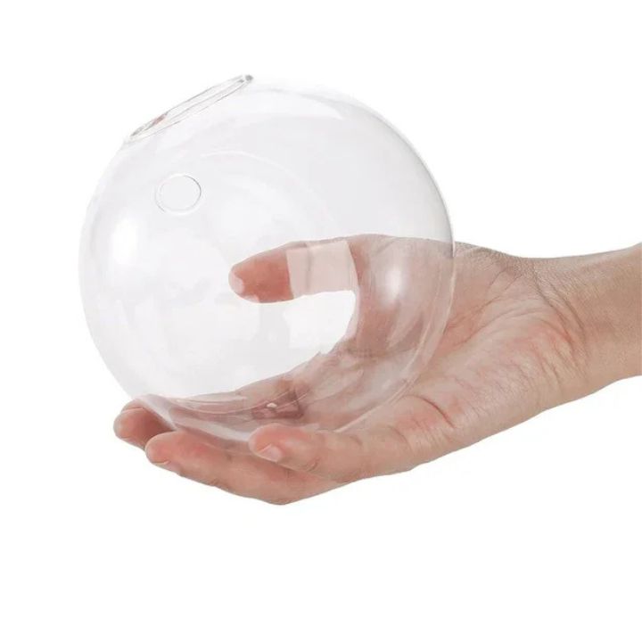 1+1 Gratis | Elegante Glas-Wandvase – Minimalistischer Pflanzenhalter