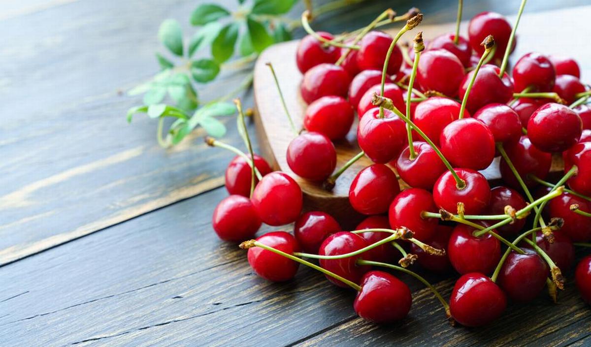 VeloraBerry™ — Wachsen Sie starke, saftige Kirschen, die Ihren Garten in ein süßes Paradies verwandeln