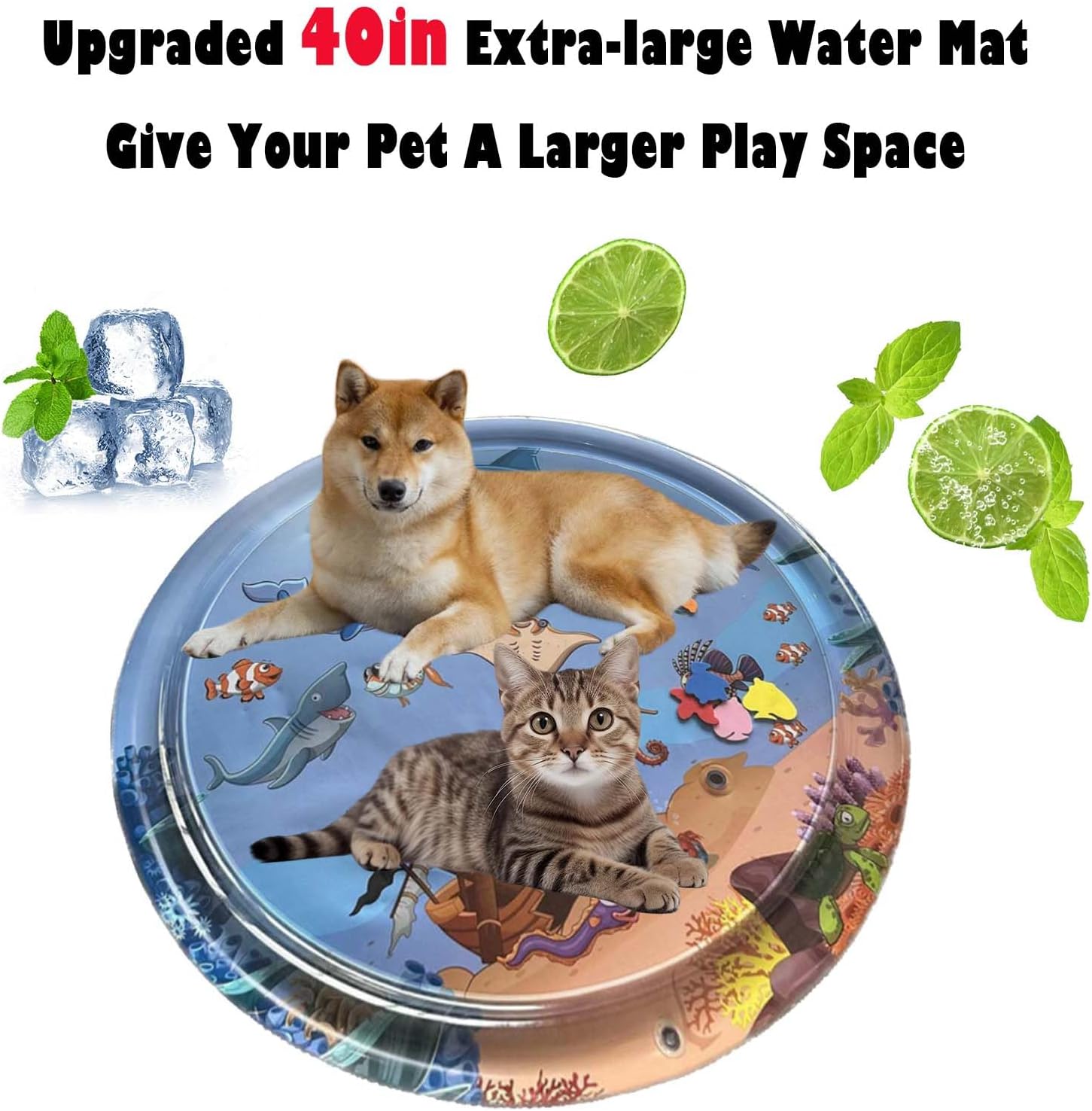 Ocean Breeze Splashland™ – Der interaktive Wasserspaß für Katzen & Hunde!