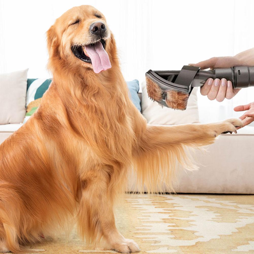 FurVac™ - Bürstenhilfsmittel für die Haustierpflege für eine sanfte Reinigung