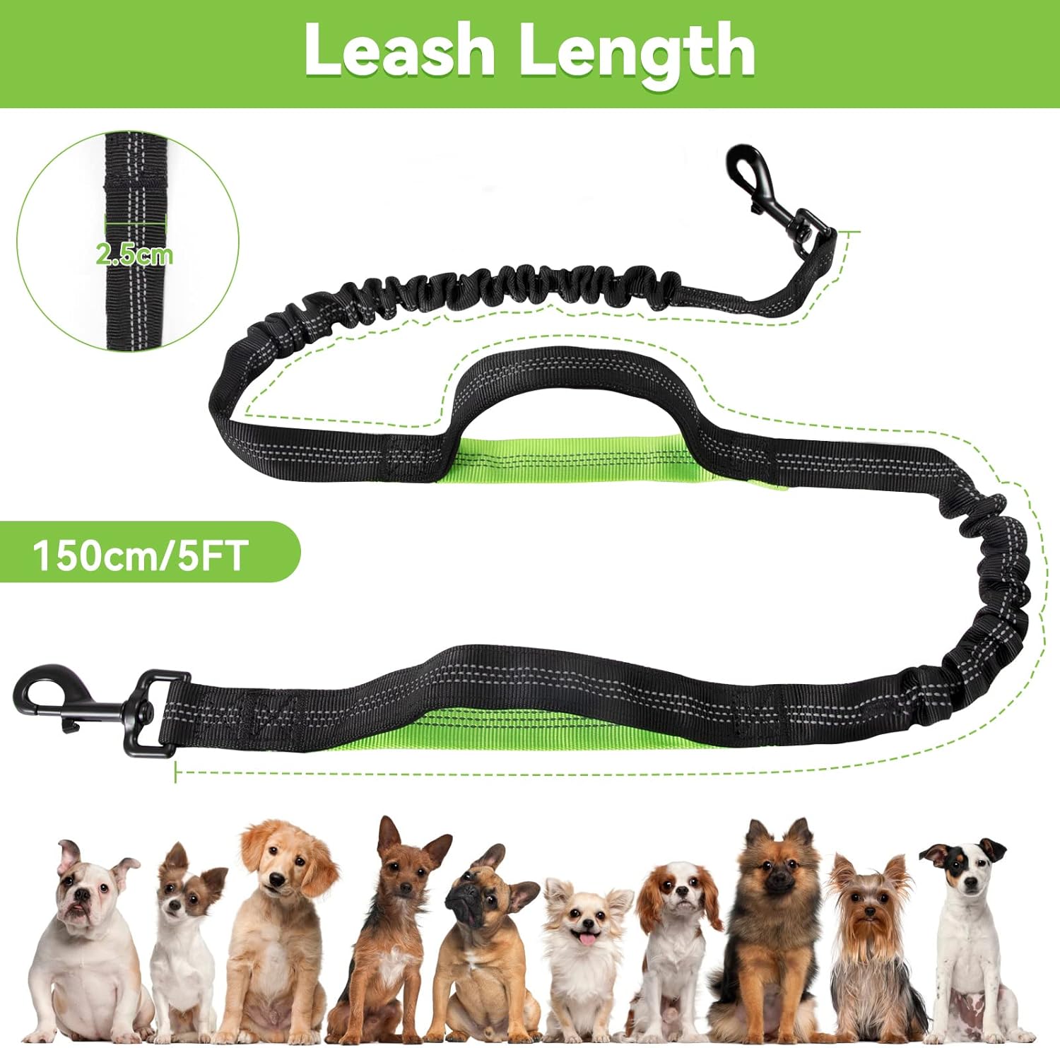 PawFree™ - Ermöglicht stressfreie Spaziergänge mit freihändigem und verwicklungsfreiem Leinendesign