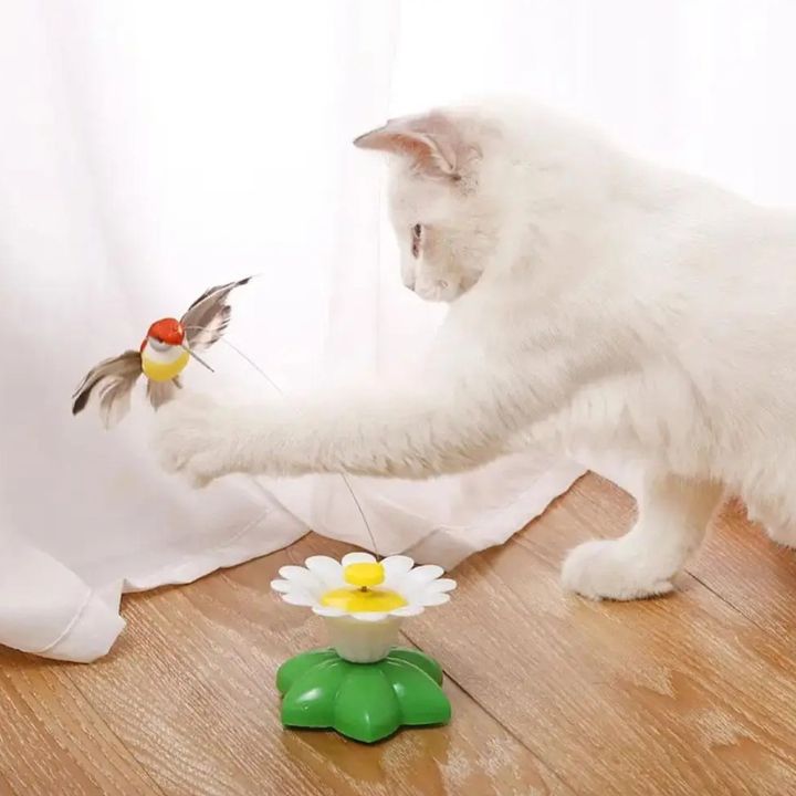 1+1 Gratis | Drehendes katzenspielzeug