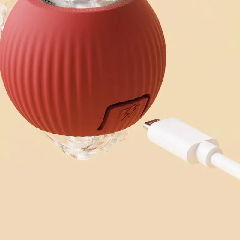 KatzenPower | 1+1 GRATIS