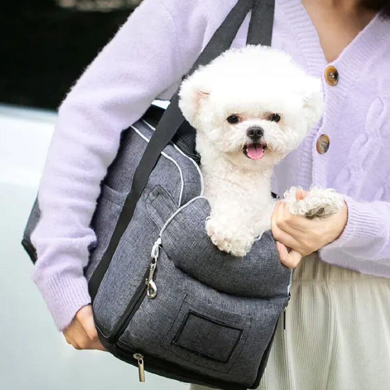 Sicherheitssitz für Haustiere | 50% RABATT