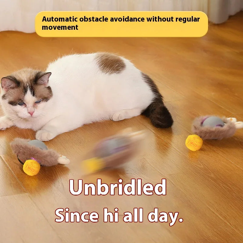 FurBall™ – Unterhaltsam und Anregend