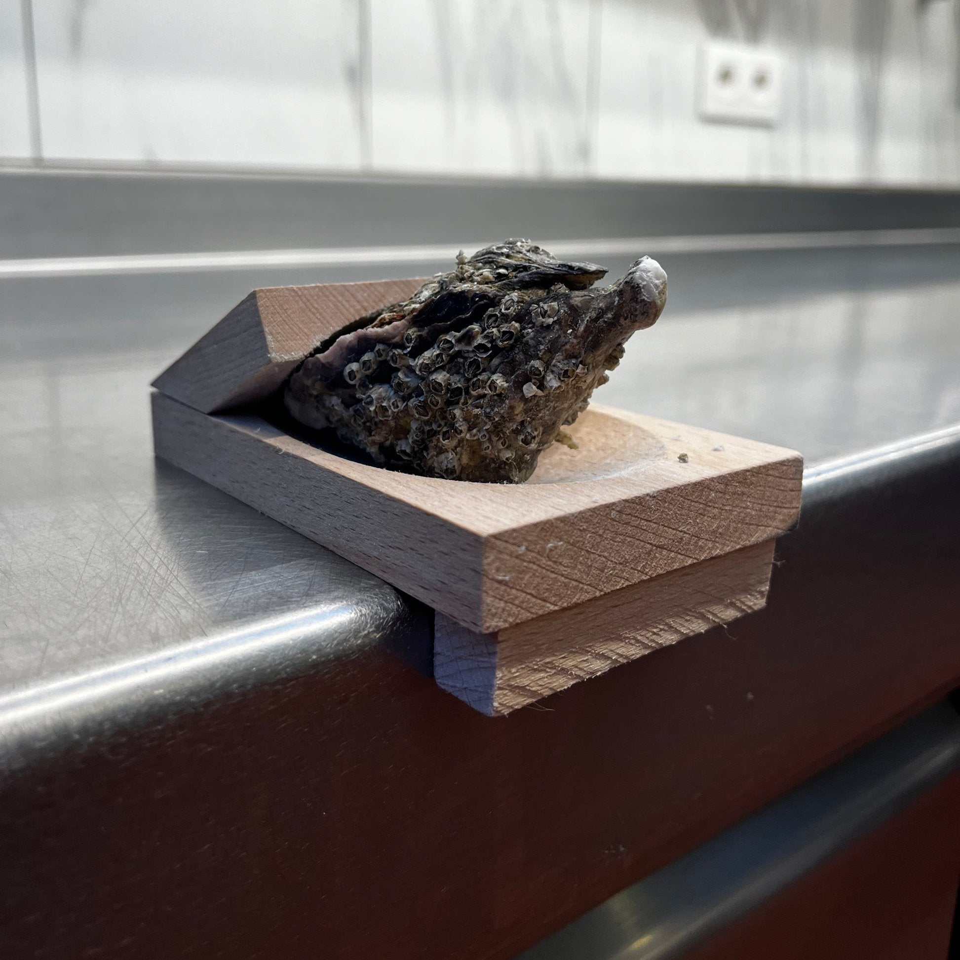 2+1 Gratis | Austernöffner-Klemme – sicheres und einfaches öffnen von austern