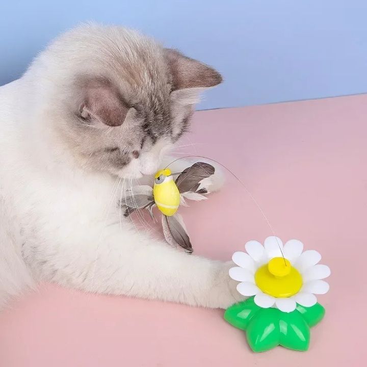 1+1 Gratis | Drehendes katzenspielzeug