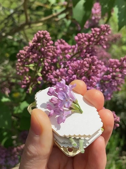 FloraLock™ Micro Press — Verwandle Vergängliche Blüten in Zeitlose Schätze